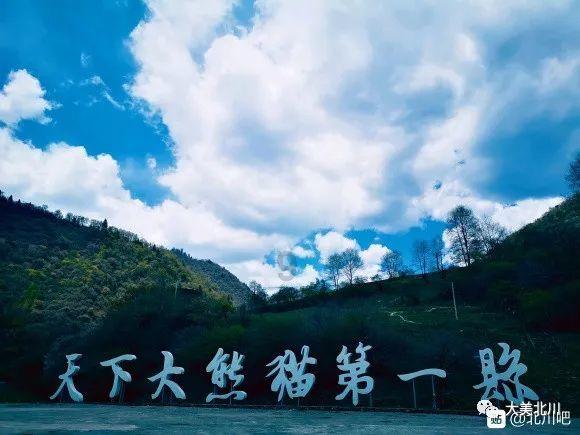 减肥两个月，偶尔吃了没调料的泡面，马上补个了橘子。不会有事吧？